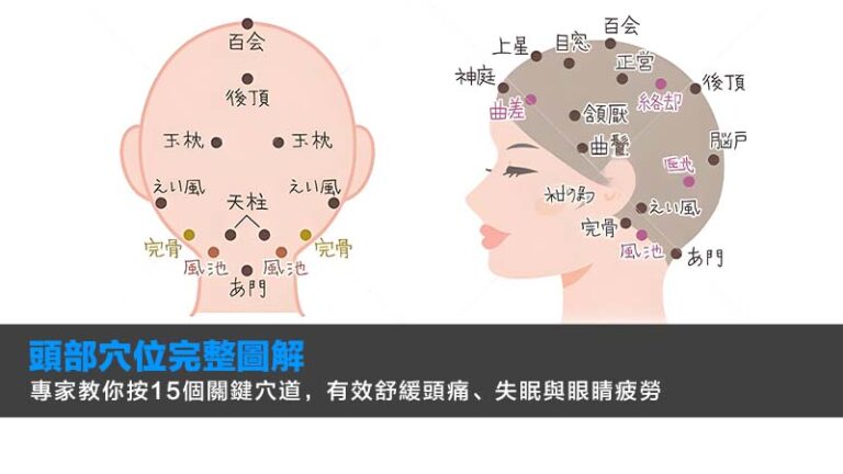 頭部穴位完整圖解：專家教你按15個關鍵穴道，有效舒緩頭痛、失眠與眼睛疲勞