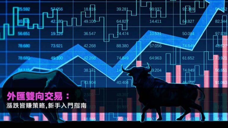 外匯雙向交易：2026年漲跌皆賺策略,新手入門指南