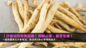 【沙參功效完整指南2026】潤肺止咳、養胃生津!一篇搞懂南北沙參差別、禁忌與3款必學潤燥湯水