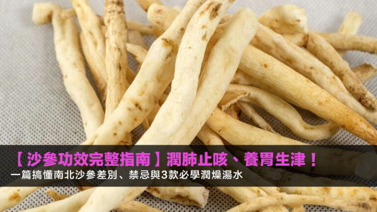 【沙參功效完整指南2026】潤肺止咳、養胃生津！一篇搞懂南北沙參差別、禁忌與3款必學潤燥湯水