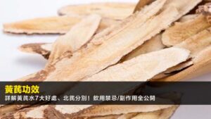 黃芪功效2026|詳解黃芪水7大好處、北芪分別!飲用禁忌/副作用全公開