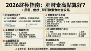 肝酵素高點算好?2026終極指南:一篇搞懂肝酵素高原因、症狀及降肝酵素食物