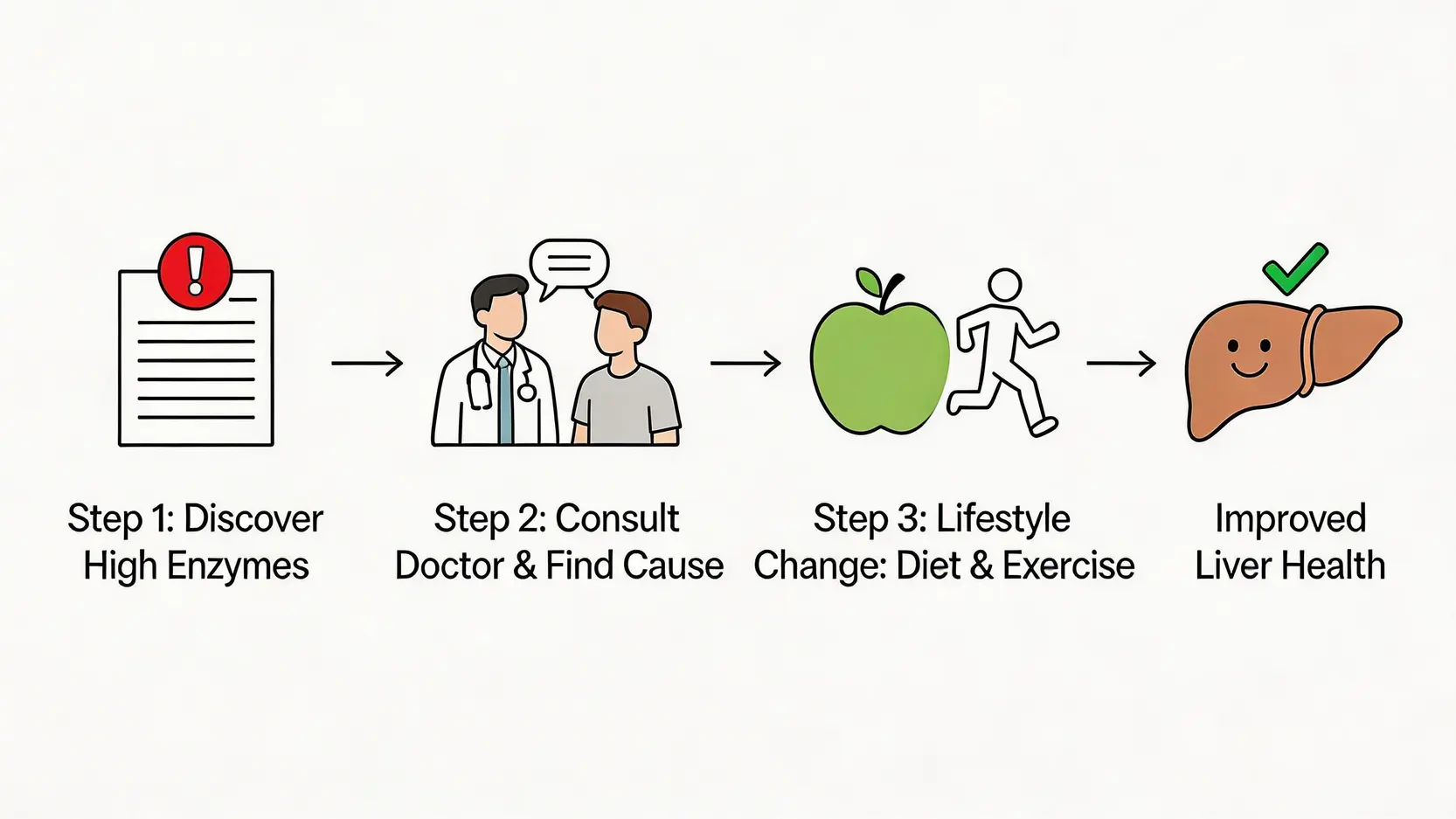 肝酵素高點算好?2026終極指南:一篇搞懂肝酵素高原因、症狀及降肝酵素食物 4 肝酵素高,肝酵素高原因,降肝酵素食物,肝功能指數過高 逆轉肝功能指數的流程圖,包含發現指數過高、諮詢醫生、調整生活方式和重獲肝臟健康四個步驟。