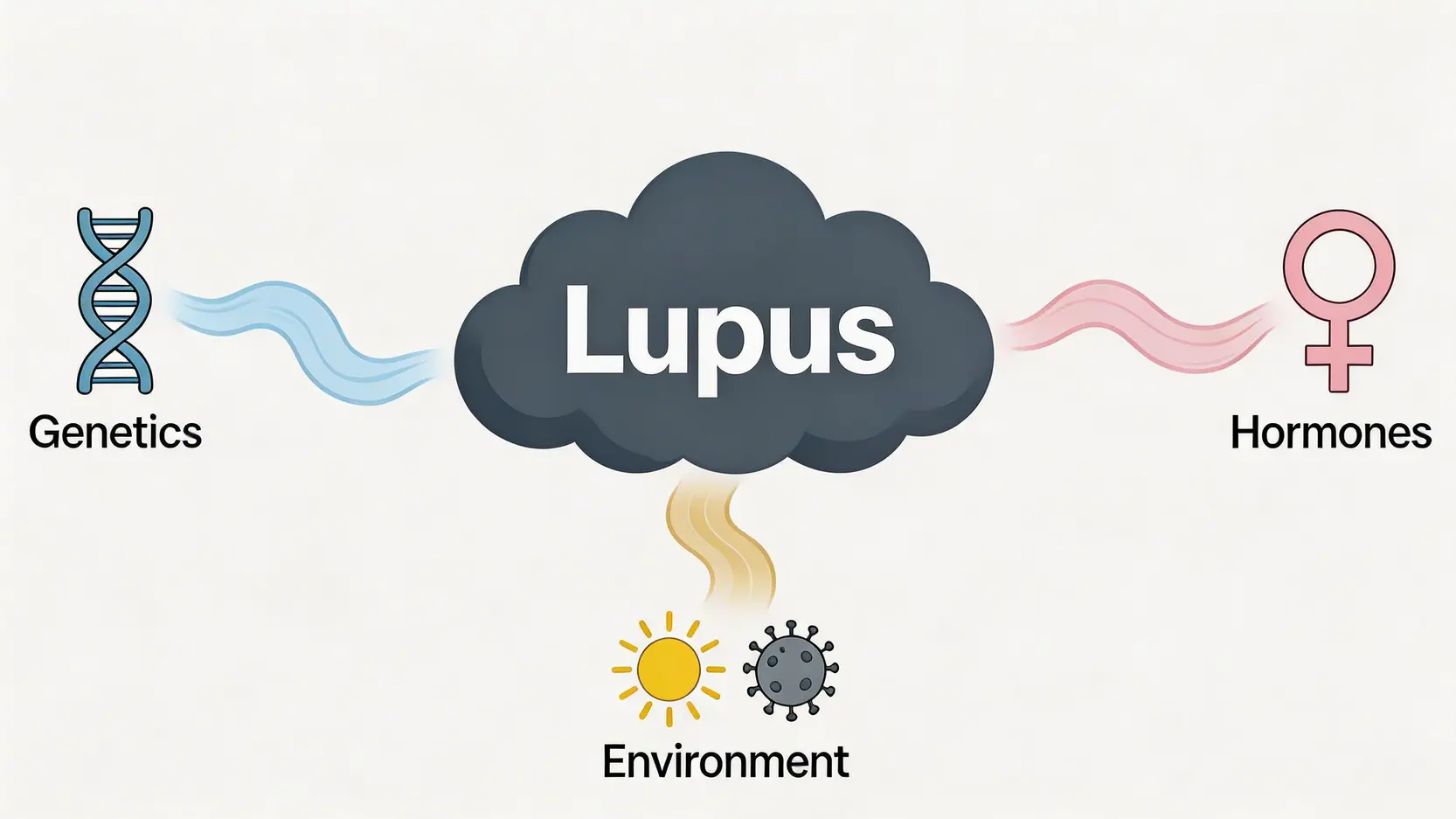 紅斑狼瘡症終極指南:由蝴蝶斑等11大症狀、成因到最新治療全攻略 2 紅斑狼瘡症,紅斑狼瘡症狀,紅斑狼瘡成因,紅斑狼瘡治療,紅斑狼瘡症壽命 醫學插圖,解釋紅斑狼瘡症的三大成因:遺傳、荷爾蒙和環境因素,共同形成一場完美風暴。