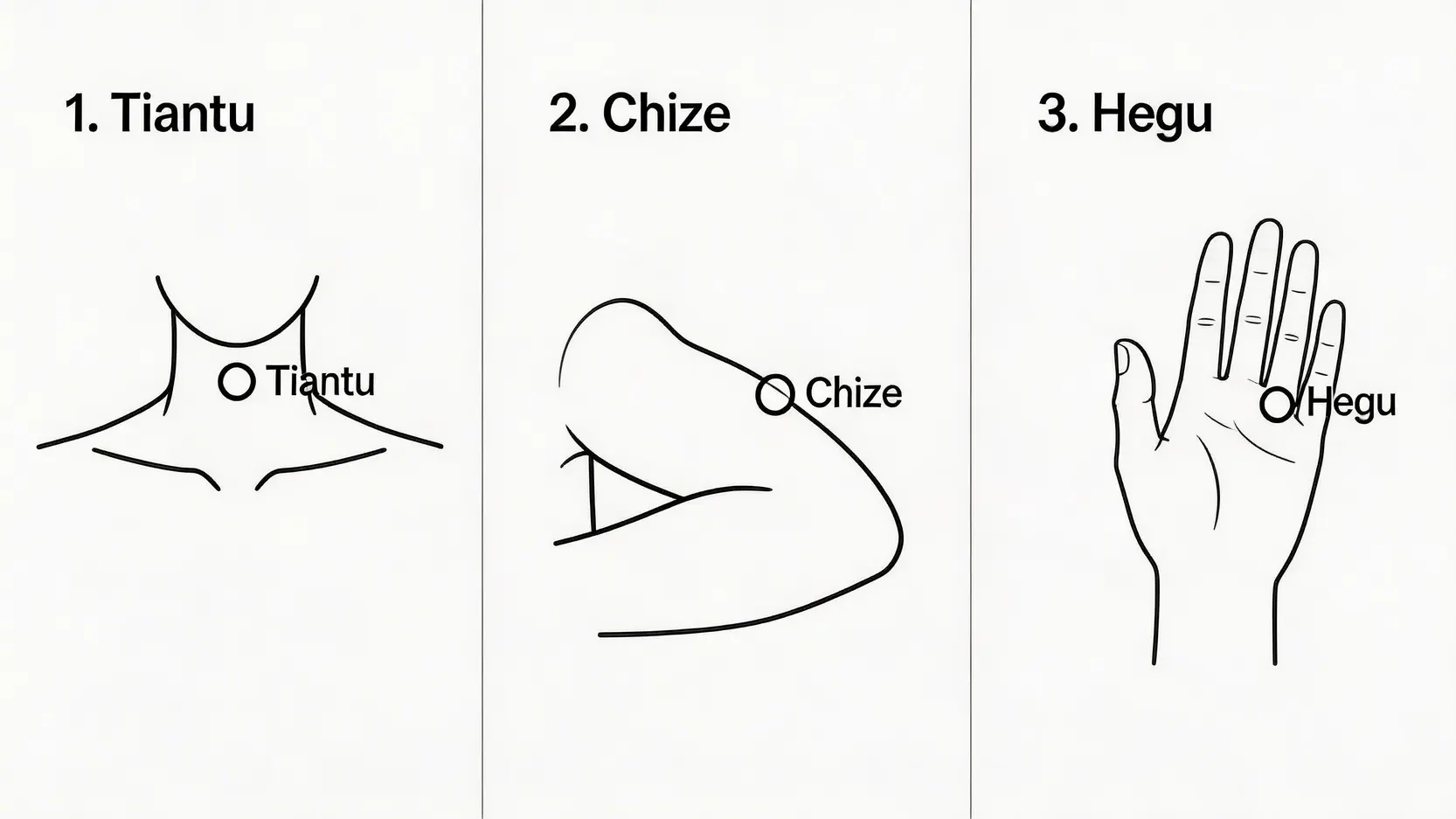 氣管敏感全攻略:咳唔停?即學5款食療湯水、了解成因與斷尾方法 4 氣管敏感,氣管敏感咳,氣管敏感斷尾,氣管敏感食療 圖示三個有助舒緩喉嚨不適的中醫穴位:位於頸部凹陷處的天突穴,位於肘橫紋的尺澤穴,以及位於虎口的合谷穴。